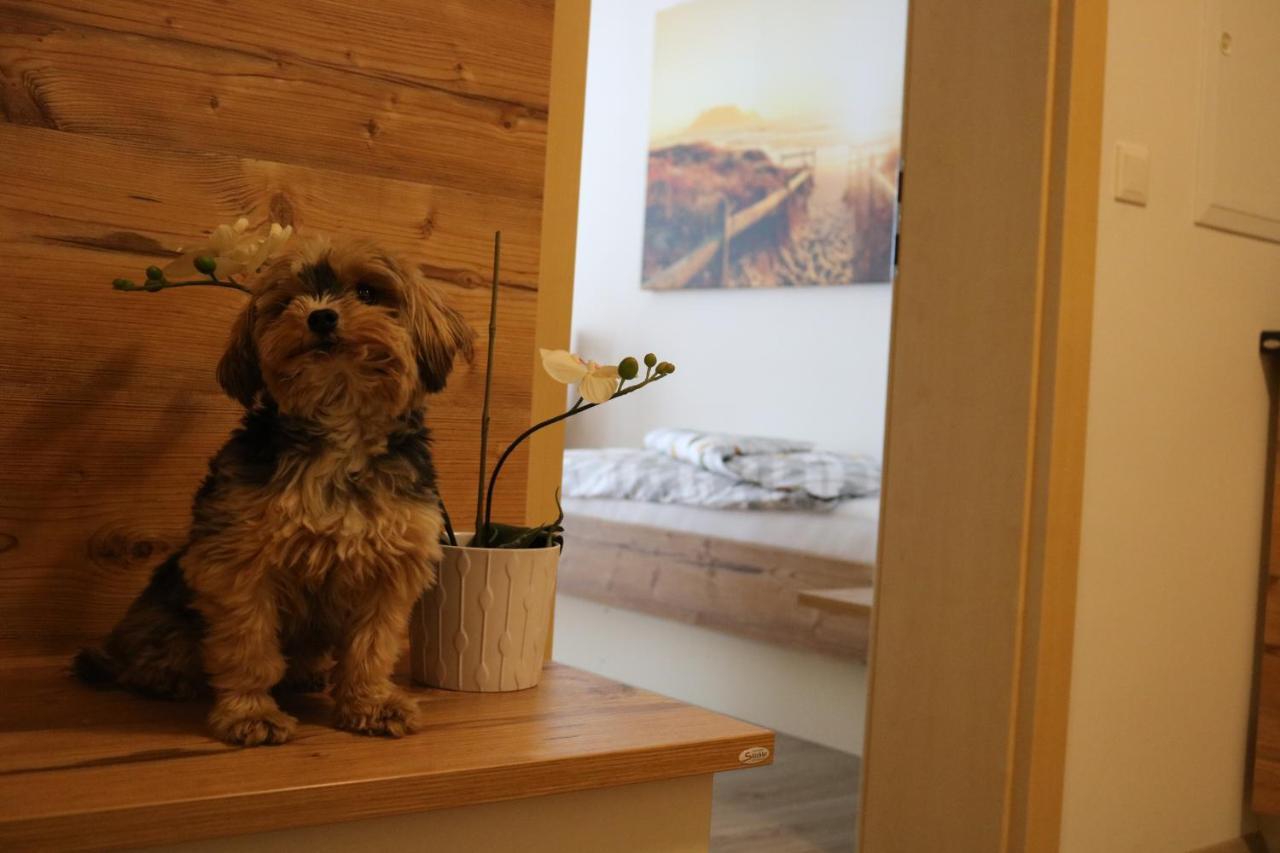 Zirben Diamant Rooms & Dogs Obdach Luaran gambar